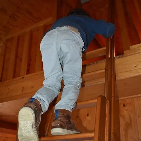 Affittacamere Familiesuite Molenstraat 3*